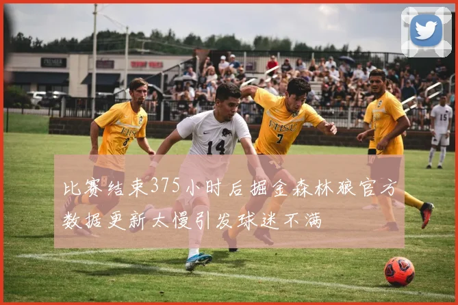 比赛结束375小时后掘金森林狼官方数据更新太慢引发球迷不满