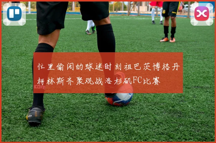 忙里偷闲的球迷时刻祖巴茨博格丹柯林斯齐聚观战洛杉矶FC比赛