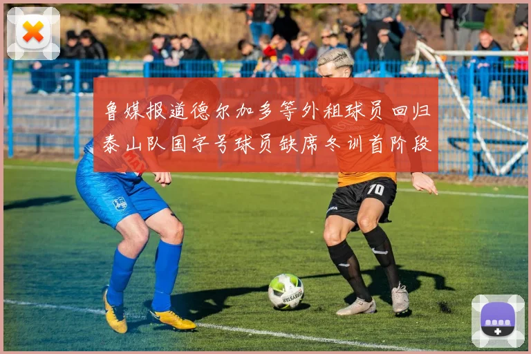 鲁媒报道德尔加多等外租球员回归泰山队国字号球员缺席冬训首阶段