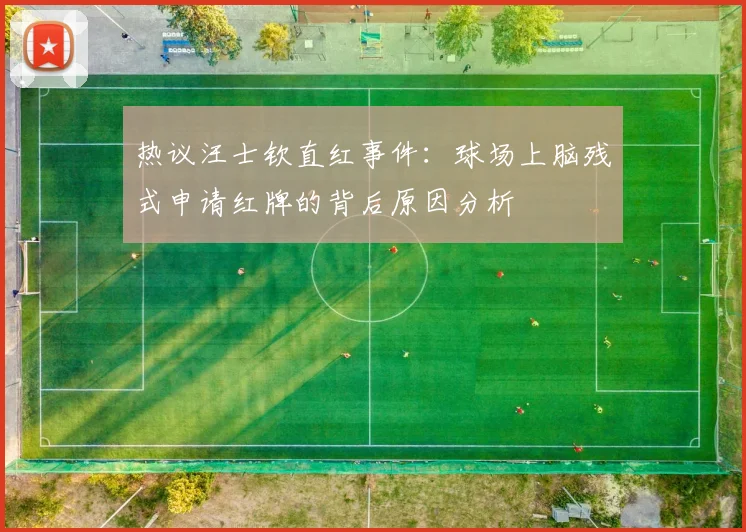 热议汪士钦直红事件：球场上脑残式申请红牌的背后原因分析
